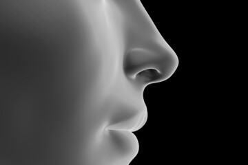 3d rendered illustration of an abstrac blue female nose