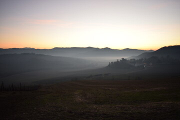 Nebbia in collina in oltrepò pavese