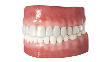 3d rendered illustration of a clear dental aligner