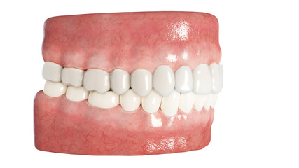 3d rendered illustration of a clear dental aligner