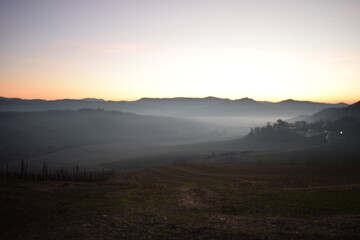 Nebbia in collina in oltrepò pavese