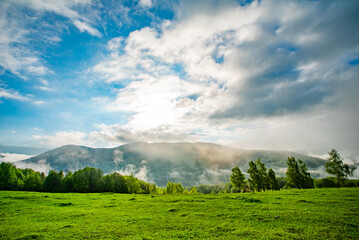 glade covered with grass near the forest and mountains in the morning fog on a warm summer day. the sky is covered with clouds. Mountain landscape in the sunlight.