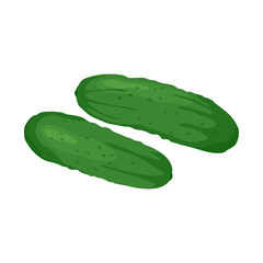 Vector illustration of fresh cucumber. Vegetable isolated icon. Cucumber for farm market in flat style