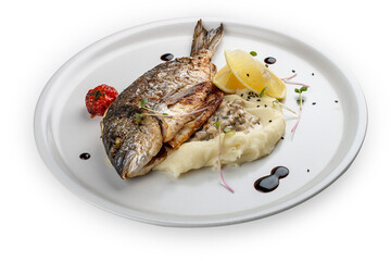 Dorado with mashed potatoes and creamy mushroom sauce. Isolated on a white background.