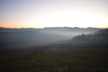 Nebbia in collina in oltrepò pavese
