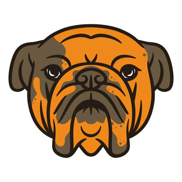 Bull dog head vector illustration