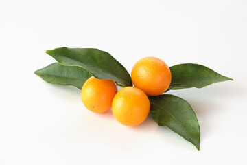 金柑を白背景で