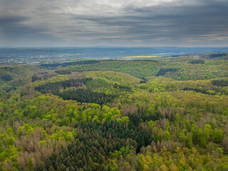 Fototapeta na wymiar Aerial drone view over autumn forest. Colorful trees in the wood, Hessen Germany