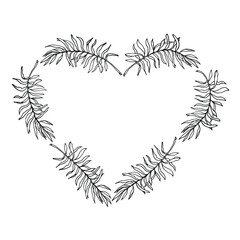 Coconuts palm leaves hearts frame, hand drawn black ink isolate on white background