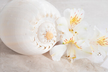 Obraz na płótnie Canvas Background with seashell and flowers on marble