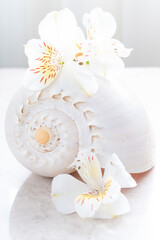 Fototapeta na wymiar Background with seashell and flowers on marble
