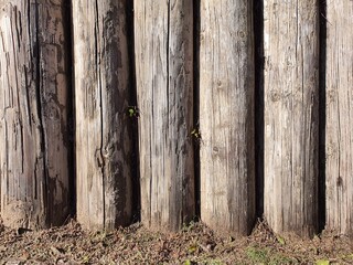 Tree trunks firmly planted on the ground in rows forming a fence around the area.