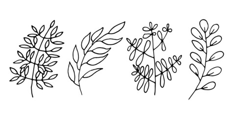 Set of abstract wild herbs. Vector hand-drawn linear field plants.