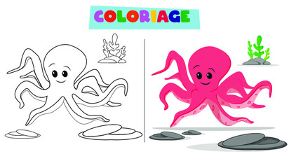 Linear drawing octopus with coloring design on white background with coloring template child 5 years 