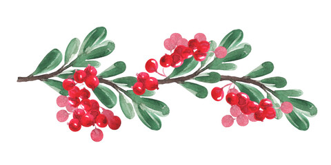 New Year set 2022 _ ornament _ red berries 01