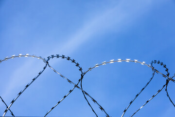detail of barbed wire