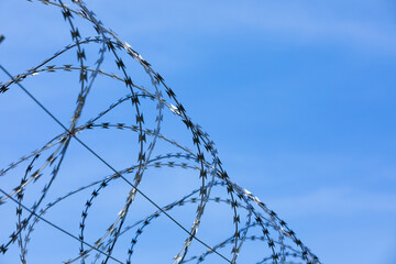 detail of sharp barbed wire