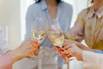 Close-up shot of young women friends clinking glasses