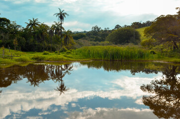 lake in the forest