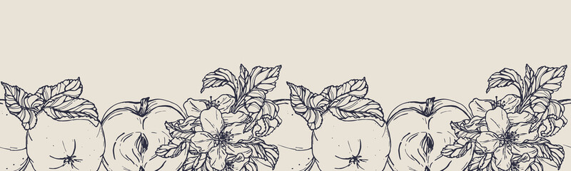 Vector horizontal seamless border with hand darwn apples and apple blossom. Eps 10 fruits backdrop.  Line-art botanical illustration