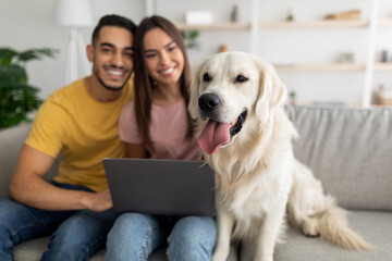 Positive millennial international couple sitting on couch with their dog, using laptop for online communication at home