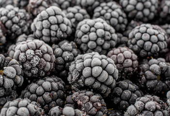 Bunch of frozen blackberries close up