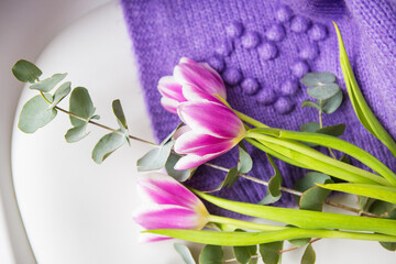 Spring beautiful bouquet of purple tulips with eucalyptus on a white chair along with a purple sweater. Spring mood, 8 March. Postcard for the holiday.