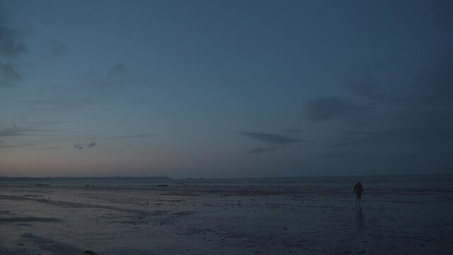 Man tourist walks along the coast after atlantic ocean low tide during sunset in the north of france in the region of brittany. Ebb at the coast of Brittany. Scenic sand beach and refluence of sea.