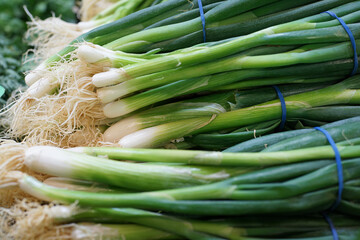 fresh green Japanese Bunching Onion selling on market stall