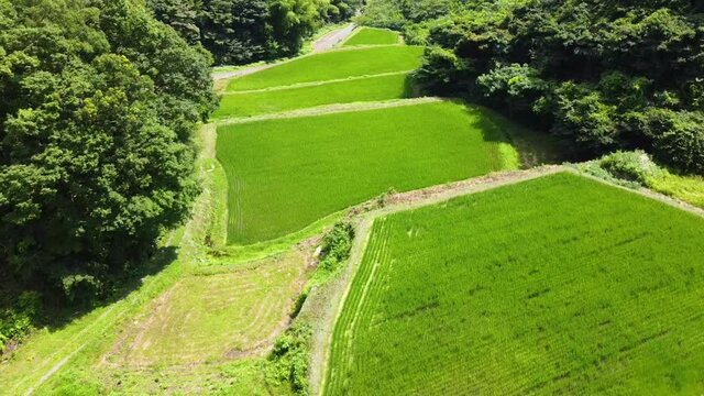 「日本棚田百選」にも選ばれている宮城県伊具郡丸森町にある大張沢尻棚田です。