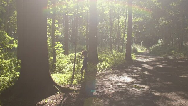 The child plays with stick in the forest. The rays of the bright summer sun shine. Playing alone, an independent play activity is important time for kid to explore and learn more about themselves.
