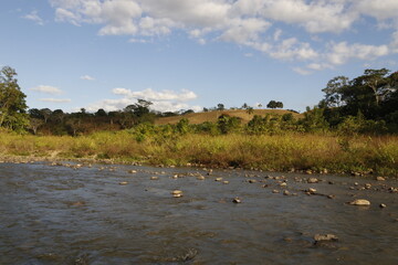 hill river and plant