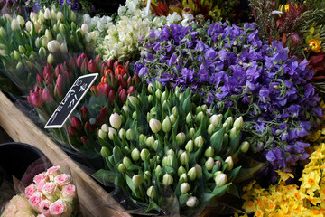 A colorful display of various plants and flowers in a local florist.