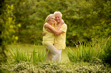 Fototapeta premium Portrait of beautiful senior couple embracing and posing in the summer park