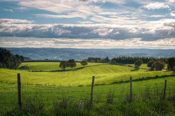 Fototapeta na wymiar Greenery in the meadows of the Galician countryside