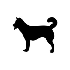 silhouette of a dog