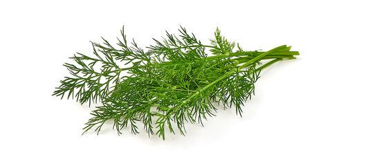 Bunch of organic dill, isolated on white background.