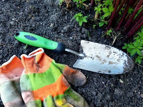 Gardener's planting trowel and work gloves on dirt ground. 
