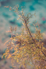 Nature and art