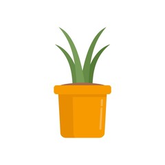 Succulent plant pot icon flat isolated vector