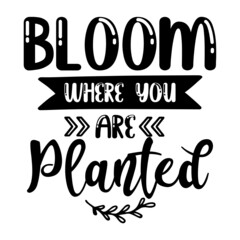 Bloom Where You Are Planted svg