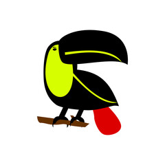 Tropical bird, keel-billed toucan with big beak. © yudi