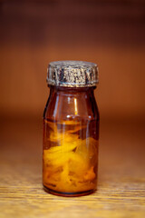 In einem Glas, Flasche befindet sich der Fötus eines Rind in Formaldehyd.