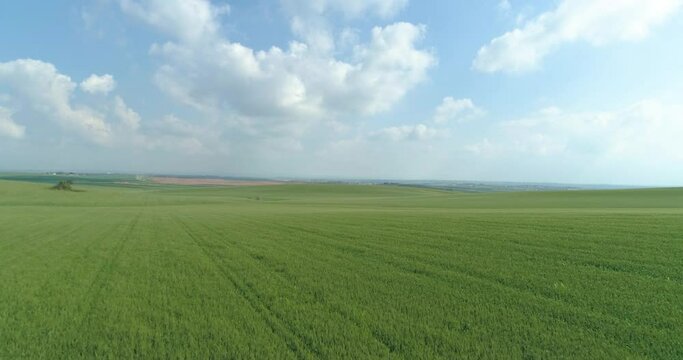 Aerial view of green grassland and wheat field with blue sky and clouds, Ruhama Badlands, Israel.