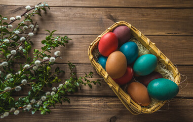 Easter basket with colorful dyed eggs, boxwood and pussy willow branches. Composition on wooden background.