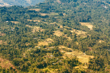 View of trees of Silerygaon Village with mountain range at the background, morning light, at Sikkim, India