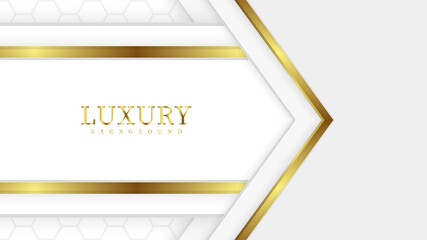 luxury golden lines background Shades of white and gray in 3D abstract style. Vector illustration.