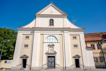 Fototapeta na wymiar Saint Martin Church in Szombathely