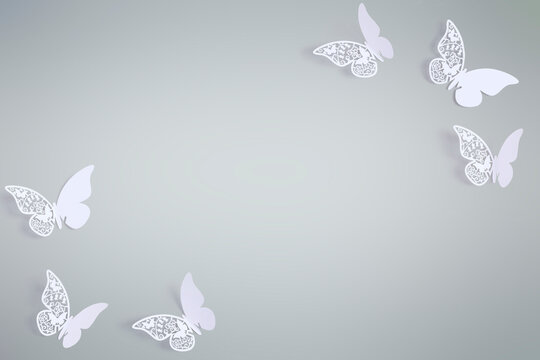 White Butterfly Images – Browse 2,091 Stock Photos, Vectors, and Video