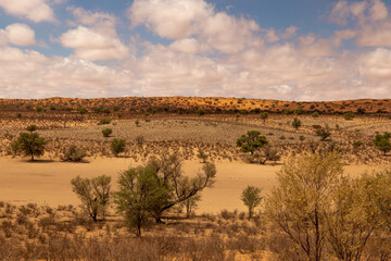 Kgalagadi scenery